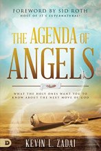 Cover art for The Agenda of Angels: What the Holy Ones Want You to Know About the Next Move of God
