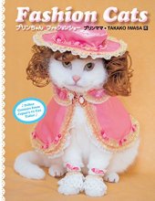 Cover art for Fashion Cats