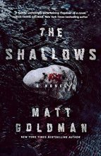Cover art for The Shallows: A Nils Shapiro Novel (Nils Shapiro, 3)