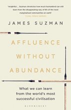 Cover art for Affluence Without Abundance: What We Can Learn from the World's Most Successful Civilisation