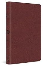 Cover art for ESV Value Thinline Bible (TruTone, Burgundy)