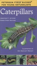Cover art for Caterpillars (Peterson Field Guides for Young Naturalists)