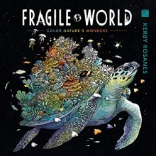 Cover art for Fragile World