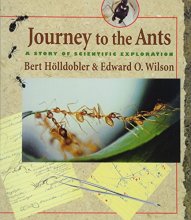 Cover art for Journey to the Ants: A Story of Scientific Exploration