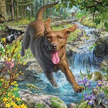 Cover art for Ceaco - Mark Fredrickson - Chocolate Lab 2-550 Piece Jigsaw Puzzle