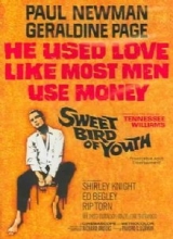 Cover art for Sweet Bird of Youth