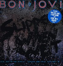 Cover art for Slippery When Wet