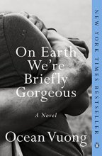 Cover art for On Earth We're Briefly Gorgeous: A Novel