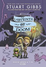 Cover art for The Labyrinth of Doom (2) (Once Upon a Tim)