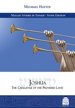 Cover art for Joshua: The Challenge of the Promised Land (Studies in Tanakh)