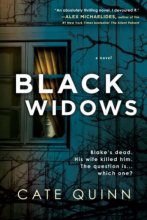 Cover art for Black Widows: A Novel