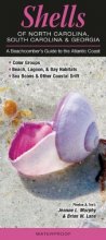 Cover art for Shells of North Carolina, South Carolina & Georgia: A Beachcomber’s Guide to the Atlantic Coast (Common and Notable Species)