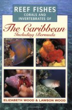 Cover art for Photographic Guide to Reef Fishes, Corals and Invertebrates of the Caribbean Including Bermuda