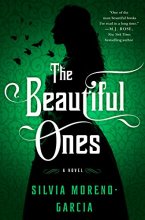 Cover art for The Beautiful Ones: A Novel