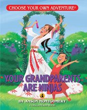 Cover art for Your Grandparents are Ninjas (Choose Your Own Adventure - Dragonlarks)