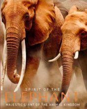 Cover art for Spirit of the Elephant: Majestic Giant of the Animal Kingdom