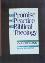 Cover art for The Promise and Practice of Biblical Theology