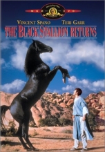 Cover art for The Black Stallion Returns