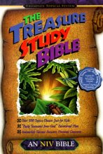 Cover art for The Treasure Study Bible; An NIV Bible