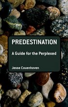 Cover art for Predestination: A Guide for the Perplexed (Guides for the Perplexed)