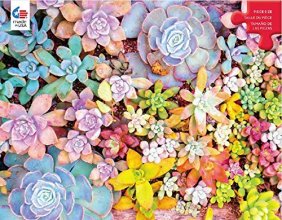 Cover art for Succulents - Pretty Pastels Puzzle - 300 Pieces