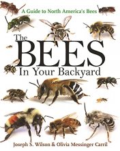 Cover art for The Bees in Your Backyard: A Guide to North America's Bees