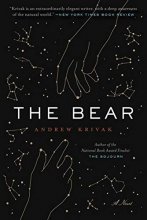 Cover art for The Bear