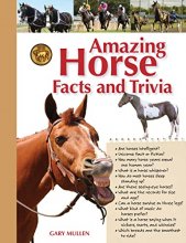 Cover art for Amazing Horse Facts and Trivia