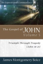 Cover art for The Gospel of John: Triumph Through Tragedy (John 18-21) (Expositional Commentary)