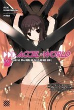 Cover art for Accel World, Vol. 6 - light novel (Accel World, 6)