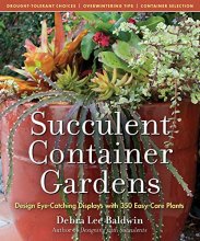 Cover art for Succulent Container Gardens: Design Eye-Catching Displays with 350 Easy-Care Plants