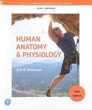 Cover art for Active-Learning Workbook for Human Anatomy & Physiology, Updated Edition