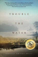 Cover art for Trouble The Water