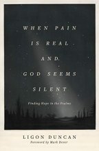 Cover art for When Pain Is Real and God Seems Silent: Finding Hope in the Psalms