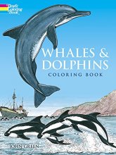 Cover art for Whales and Dolphins Coloring Book (Dover Sea Life Coloring Books)