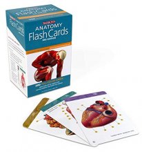 Cover art for Anatomy Flash Cards (Barron's Test Prep)