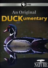Cover art for Nature: An Original Duckumentary