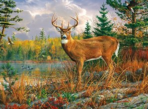 Cover art for Buffalo Games - Hautman Brothers - Tranquil Moment - 1000 Piece Jigsaw Puzzle