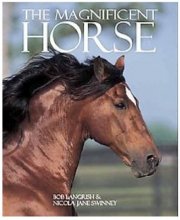 Cover art for The Magnificent Horse
