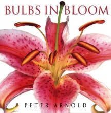 Cover art for Bulbs in Bloom