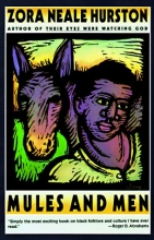 Cover art for Mules and Men