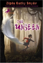 Cover art for The Unseen