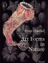 Cover art for Art Forms in Nature: The Prints of Ernst Haeckel