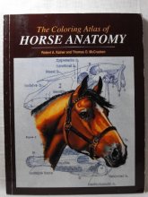 Cover art for Coloring Atlas of Horse Anatomy