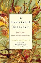 Cover art for A Beautiful Disaster: Finding Hope in the Midst of Brokenness