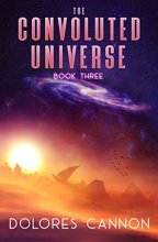 Cover art for The Convoluted Universe (The Convoluted Universe #3)