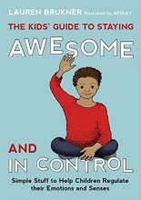 Cover art for The Kids' Guide to Staying Awesome and In Control: Simple Stuff to Help Children Regulate their Emotions and Senses