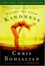Cover art for Before You Know Kindness: A Novel