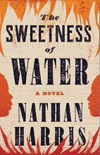 Cover art for The Sweetness of Water: A Novel