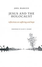 Cover art for Jesus and the Holocaust: Reflections on Suffering and Hope